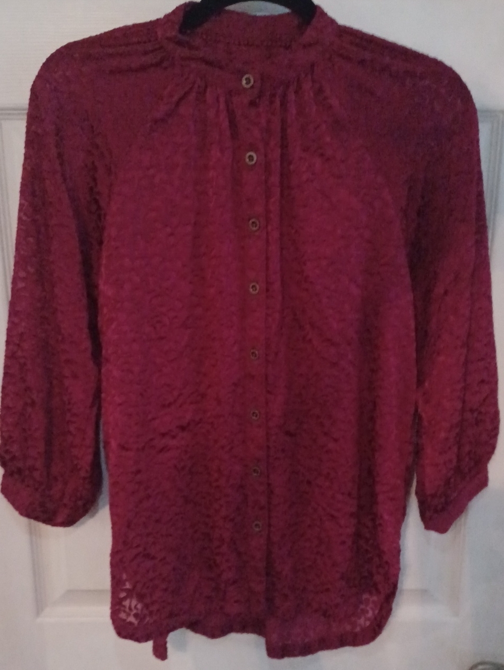 By Anthropologie Susanna Velvet Burnout Button Front Blouse 3/4 Sleeve Sz M